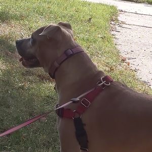 Meet your Posher, Leah